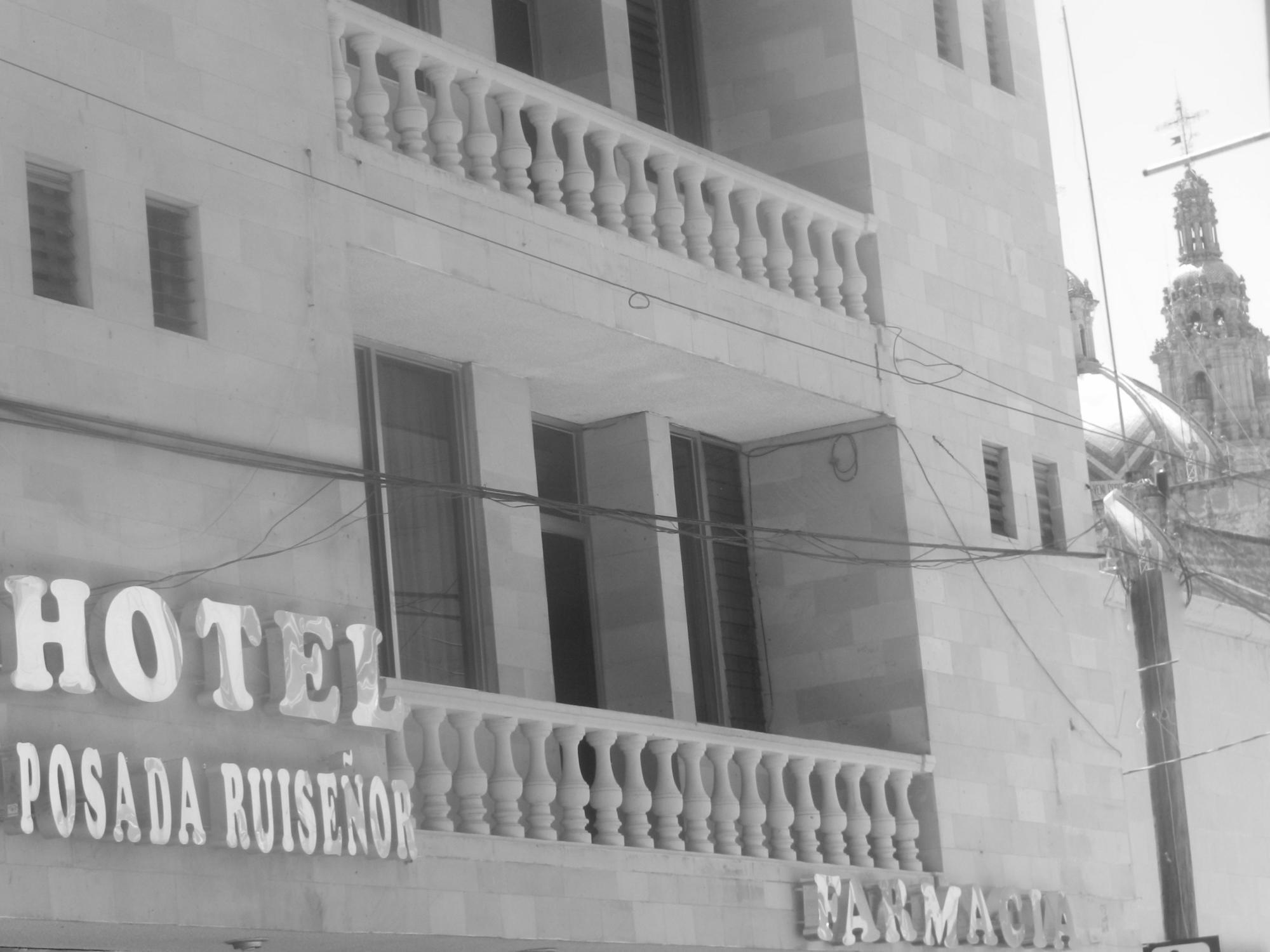 Hotel Posada Ruisenor San Juan de los Lagos Exterior foto